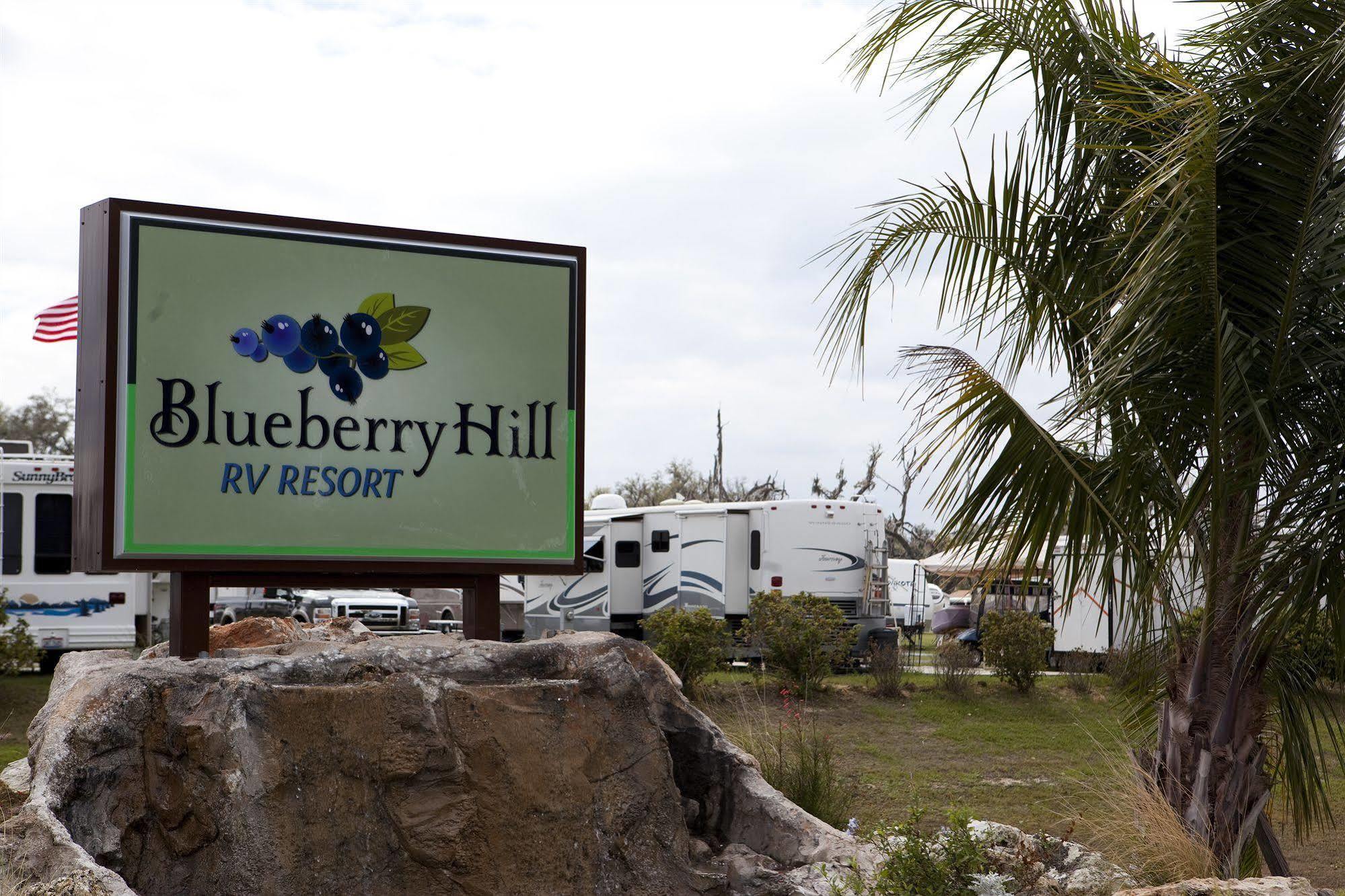 Vila Blueberry Hill Bushnell Exteriér fotografie