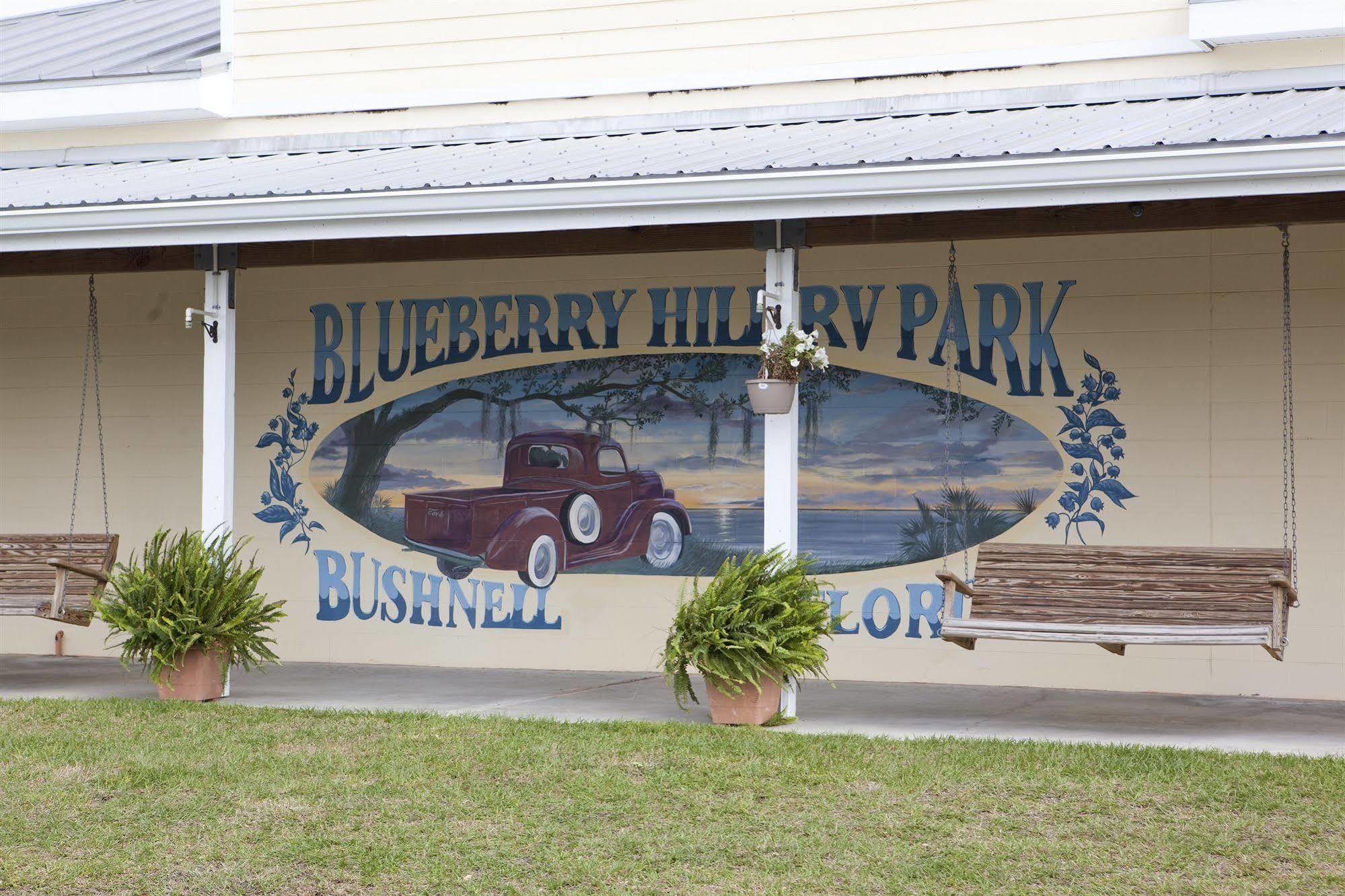 Vila Blueberry Hill Bushnell Exteriér fotografie